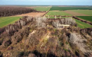 Ferma si livada de meri in judetul Ilfov - Poză 13