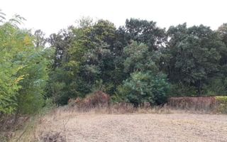 Teren Gruiu sat Lipia - Poză 3