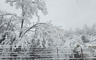 AZURA Imobiliare - Casa la cheie Mosoaia - pret de apartament! - Poză 19