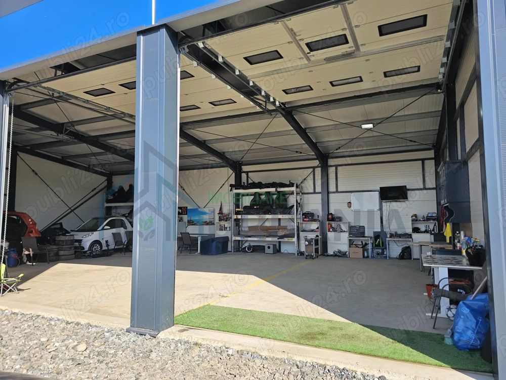 Caut coleg hala - Poză 2