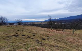 Rădăcini noi, visuri vechi- Teren de vanzare in Cisnadioara, Sibiu - Poză 4