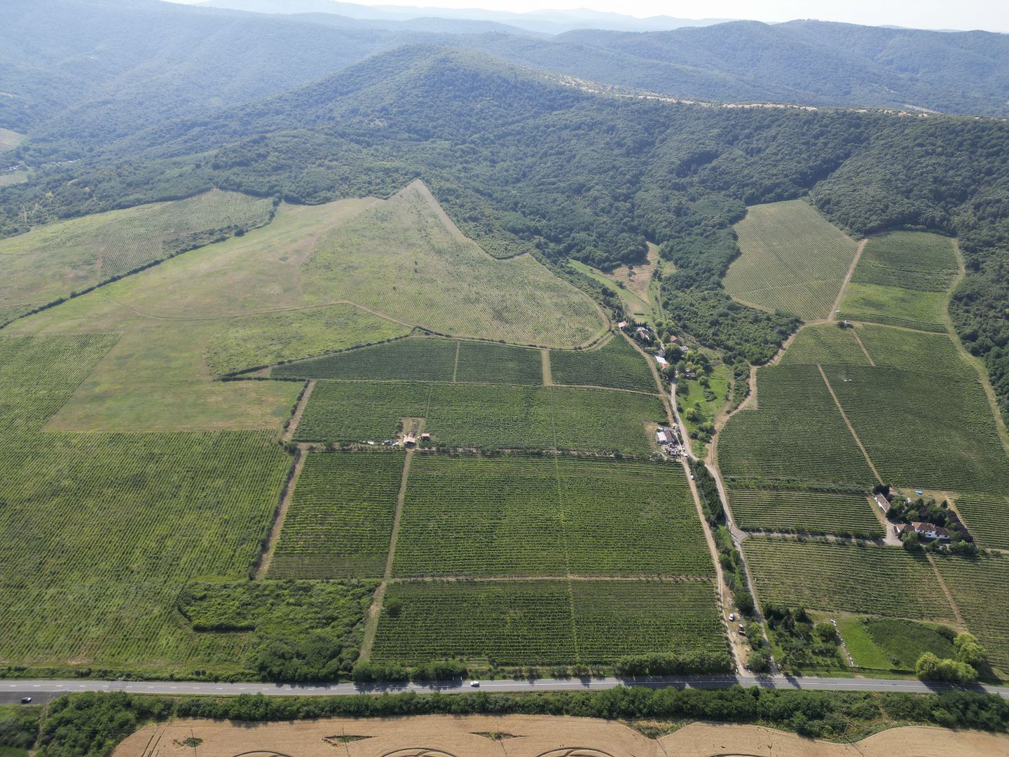 Vie Tradițională „Halta Lupilor” - Poză 35