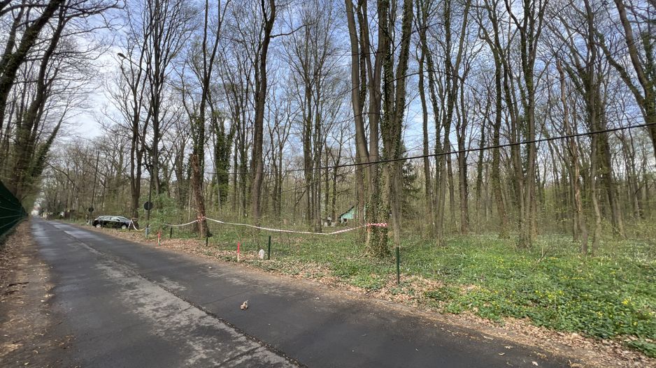 192842 mp teren in Padurea Baneasa proiect exclusivist - Poză 11