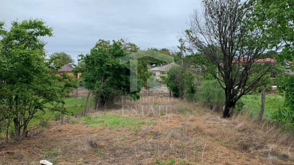 Teren intravilan 2562mp Loc 23 August | Ideal locuiță sau casă vacanță - Poză 3