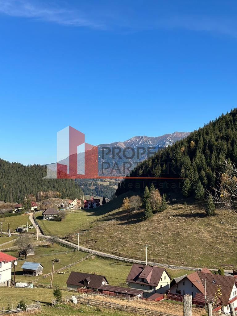 Teren Fundatica intravilan 4500 mp - Poză 13