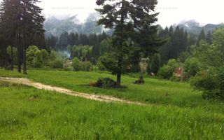 Teren intravilan Cotul Donului,pretabil Hotel/pensiune. - Poză 4