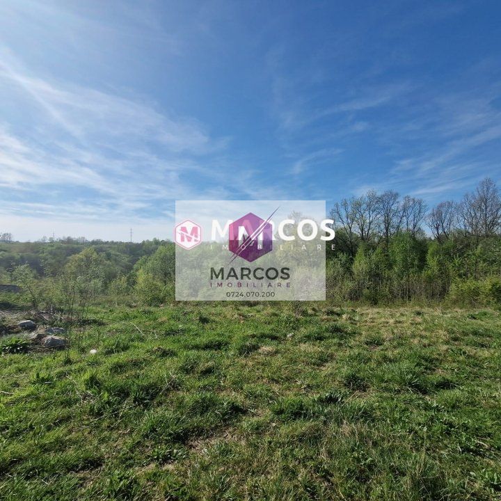 Teren 2360mp, KM 6, ID 978 - Poză 3