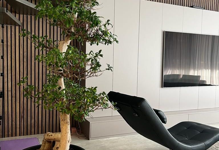 Luxury Villa for rent | Pipera | SMART Home - Poză 7