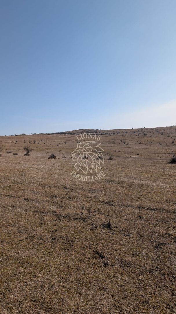 Teren 130.000 mp (13 ha)-Parcelabil-investitie-Zona Cighir - Poză 4