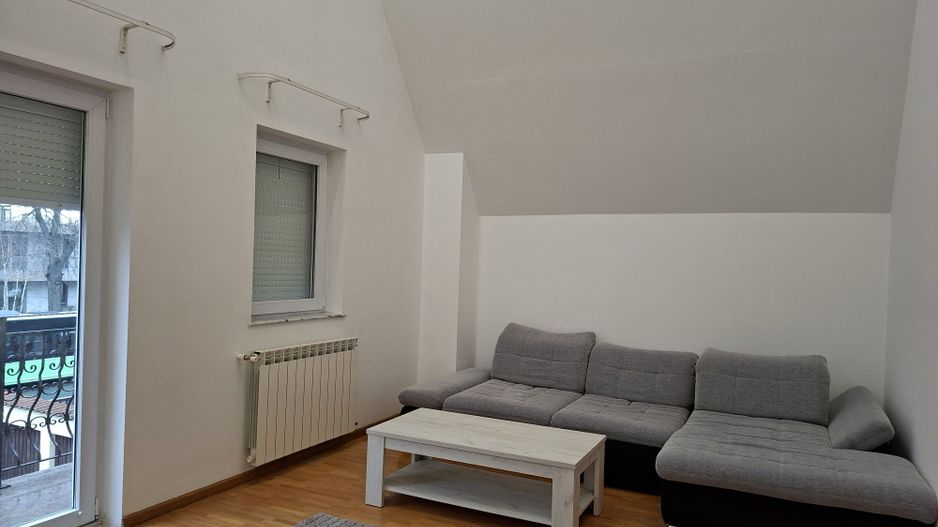 Vilă luminoasă I Gradina mare si loc de joacă privat I Iancu Nicolae - Poză 17