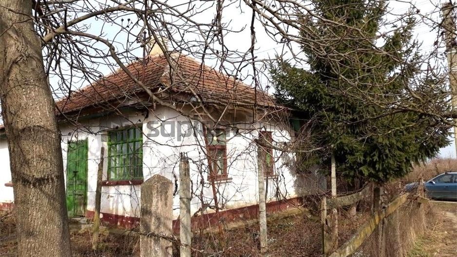 Casa bătrânească 110 mp cu anexe si teren generos de 2.263 mp - Poză 3