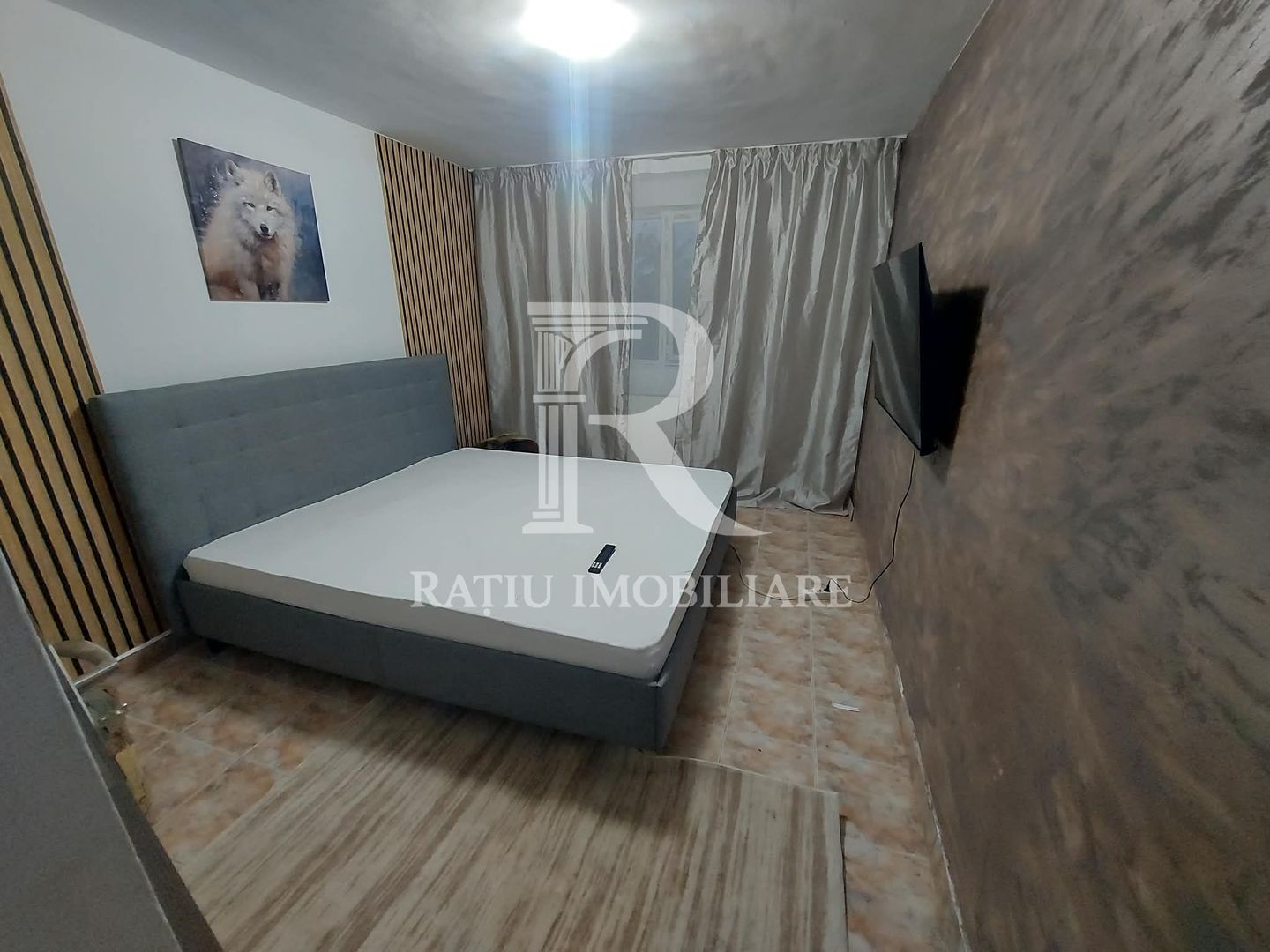 Casă cu Hală Industrială | Teren 3.200 mp | Ineu | Bihor - Poză 3