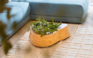 Închiriere apartament 2 camere, 55mp - Poză 15