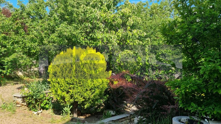 INCHIRIERE SPATIU COMERCIAL-2 VILE | ZONA MOGOSOAIA - Poză 66