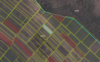 Teren agricol de 24 ari în Ghidighici – aproape de pădure, potrivit pentru investiție sau activitate agricolă - Poză 6