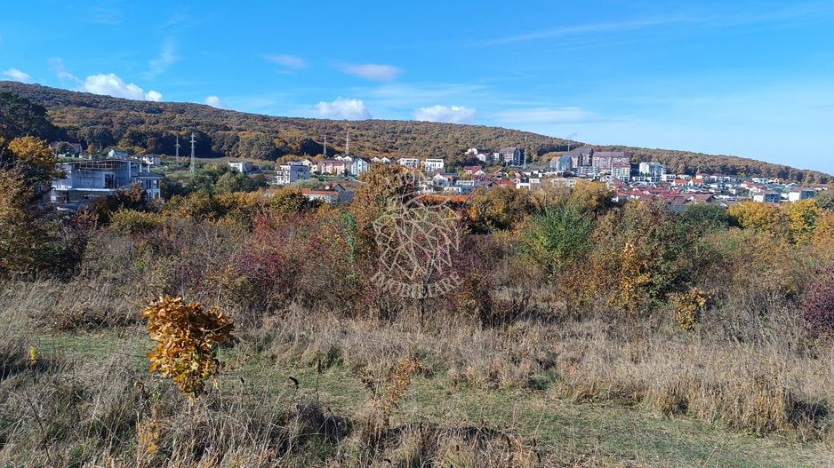 Teren intravilan 4500mp-oportunitate investitii-panoramic-Zona Wings - Poză 1