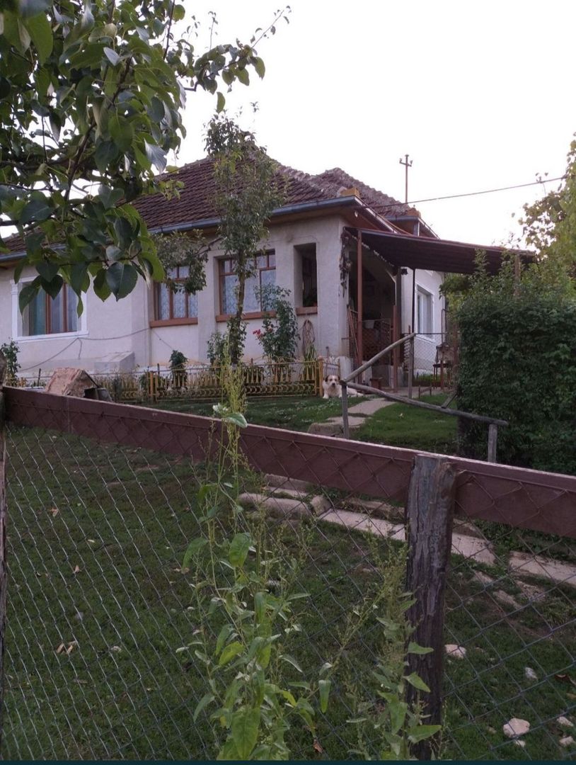 Vand casa in Loc. Medisa - Poză 2