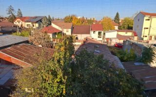 Casa cu mesteacan - DIRECT PROPRIETARI! - spectaculos toamna - Poză 6