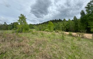 TEREN INTRAVILAN 6680 MP LERESTI ARGES