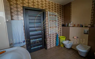 Palazu Mare / Elvila  - Vila deosebită compusă din S+P+2E, mobilata și utilata - Poză 60
