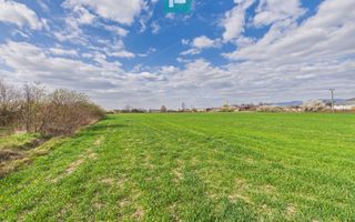 Teren extravilan, 1 ha, în orașul Sebiș, Arad - Poză 9