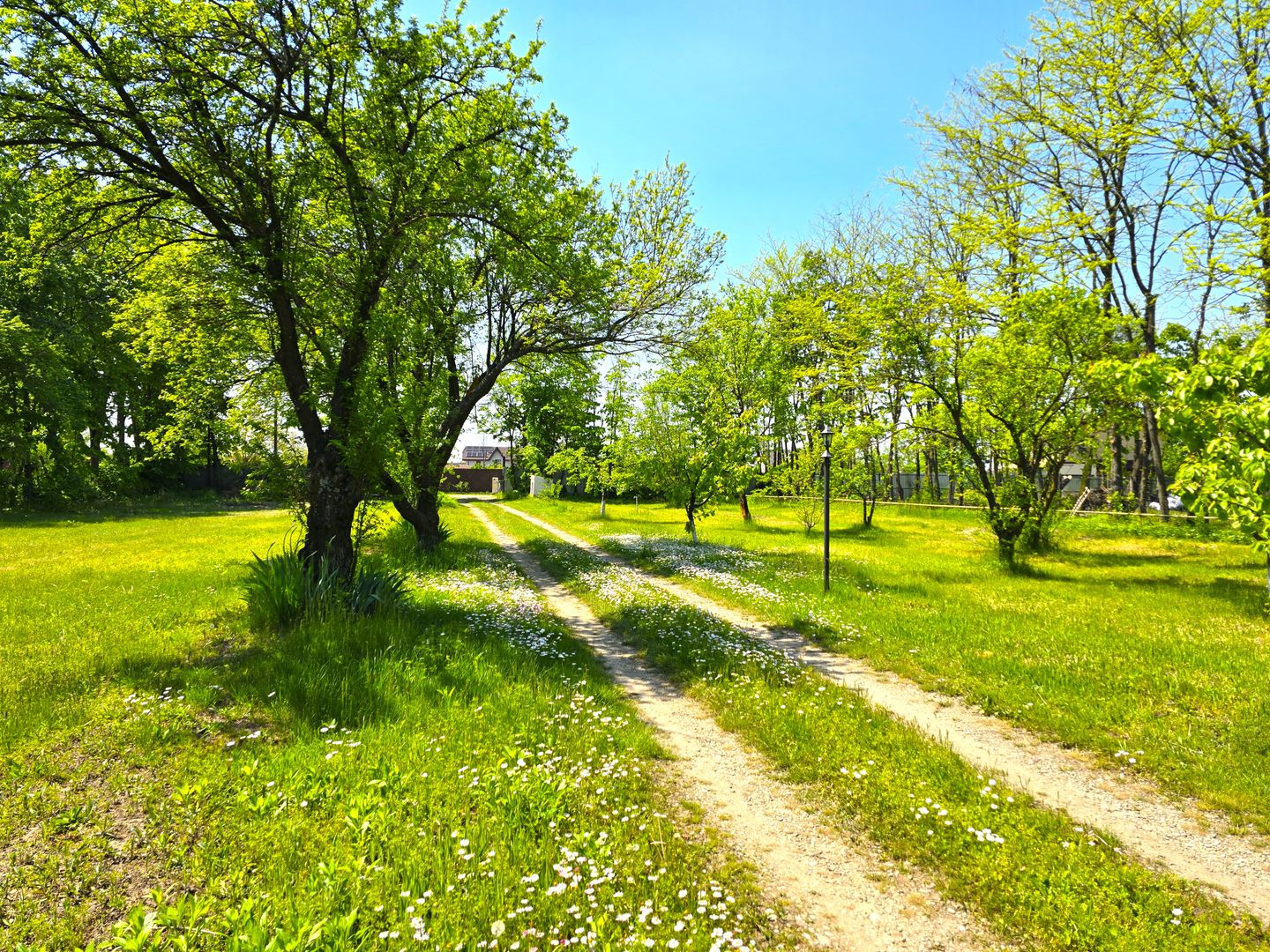 Proprietate unica, vila si 8000 mp pe malul lacului Snagov - Poză 37