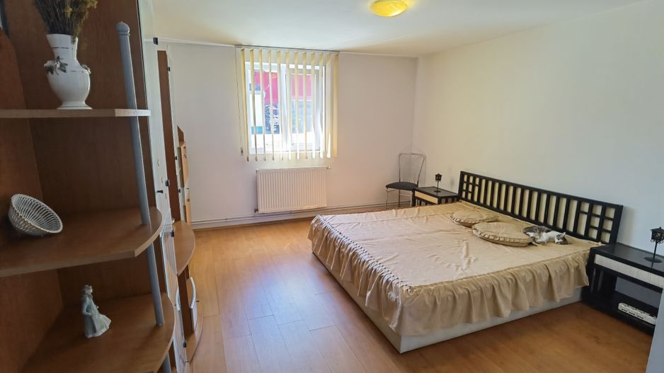 Proprietate industriala  la 35 km de TM - Poză 7