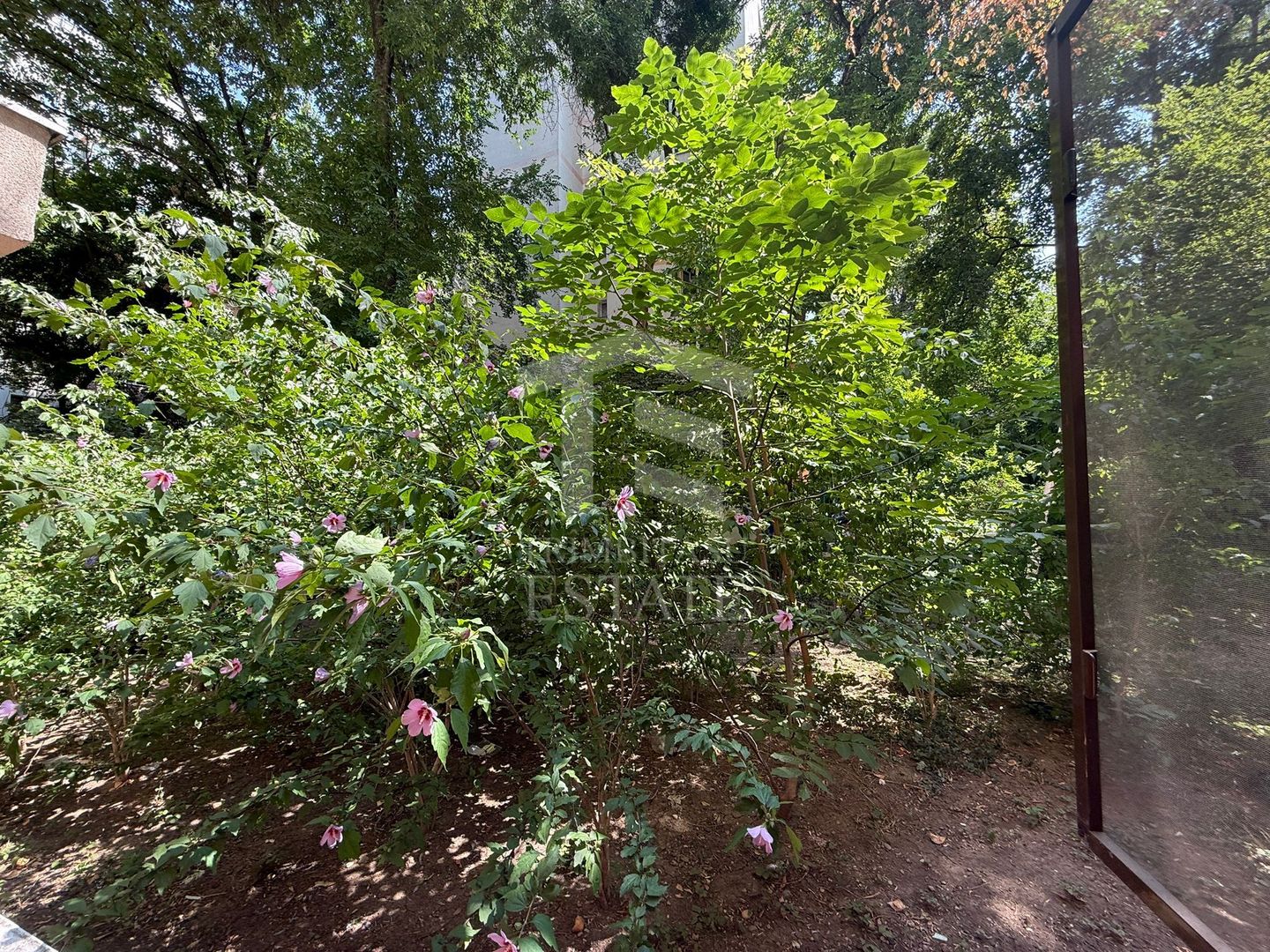 Apartament 2 Camere Teiul Doamnei Lacul Tei - Poză 3