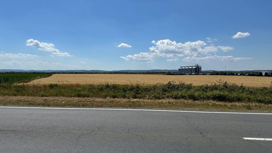 Teren, 14 386, Sacadat - Coca Cola, acces din DN1. 9 E/mp. Comision 0. - Poză 1