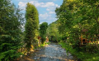 Cabana la Munte, ideală pentru vacanțe sau investiție! - Poză 4