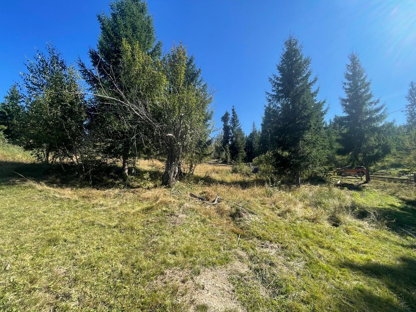 Teren Intravilan | Dealul Negru | Investiție | 1500 mp - Poză 3