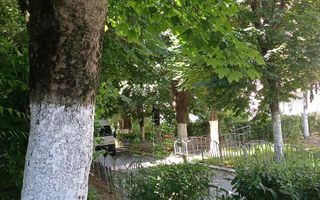 Apartament | 3 camere | Traian | Etaj 3 - Poză 2