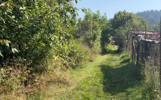 CASĂ 4 CAMERE TEREN 1316 MP LEREȘTI ARGEȘ - Poză 38