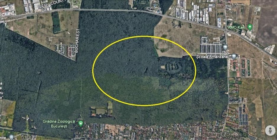 PIPERA, Padurea Baneasa, 3.250.000 mp. ideal aventura parc - Poză 2
