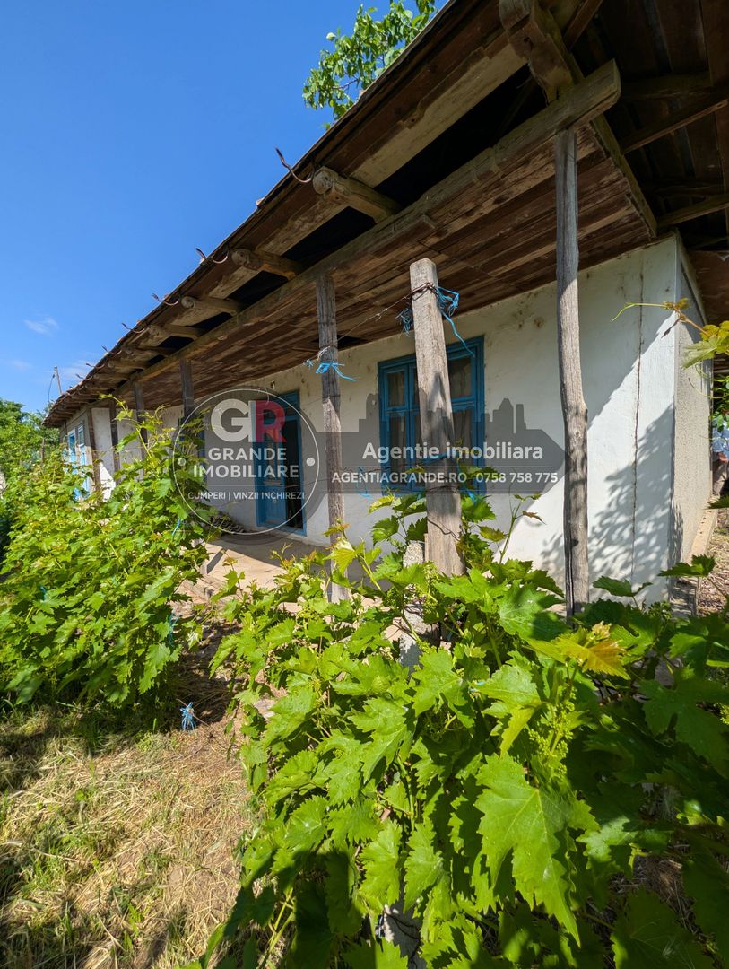 De vânzare casă în Somova, curte 1600 mp - Poză 1