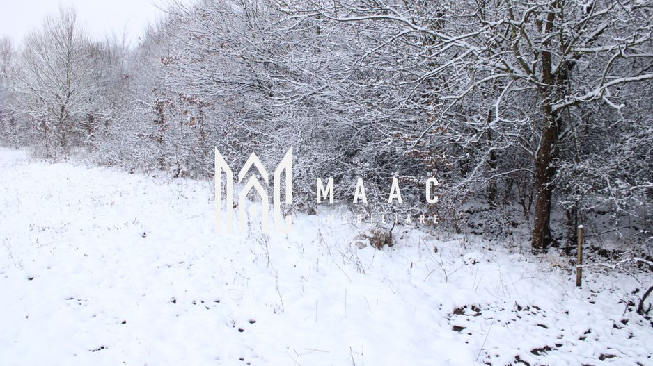 Super oferta I teren intravilan de vanzare in Cisnadie - Poză 7