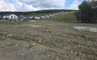 Teren intravilan 18.600 mp.cu deschidere de 250 m la drum - Poză 1
