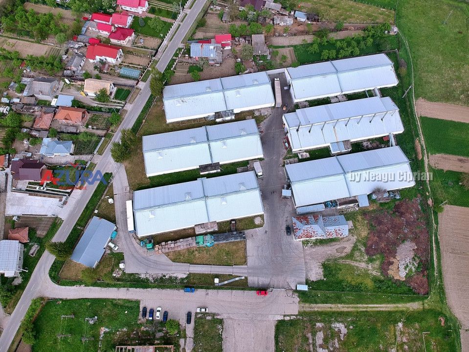 COMISION 0% - HALE Calinesti Arges - Poză 96