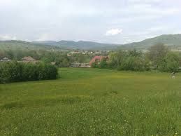 Anunt de test - Teren 5500 mp Cluj-Napoca in Zona Soporului - Poză 3