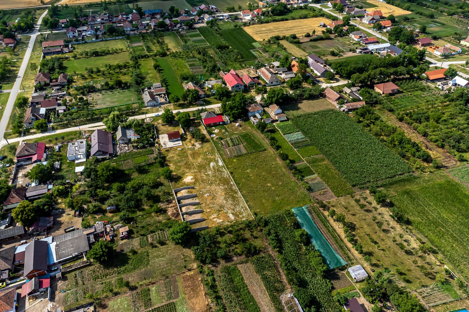 Teren 2878mp în localitatea Șimand - Poză 8