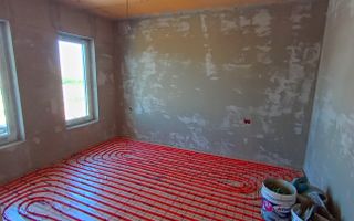 Sanandrei, Duplex Pe Parter, 3 Cam, Dressing - Poză 7