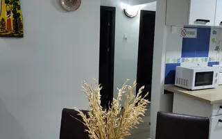Apartament 3 camere 73 mp bucatarie generoasa lift pivnita Vasile Aron - Poză 14