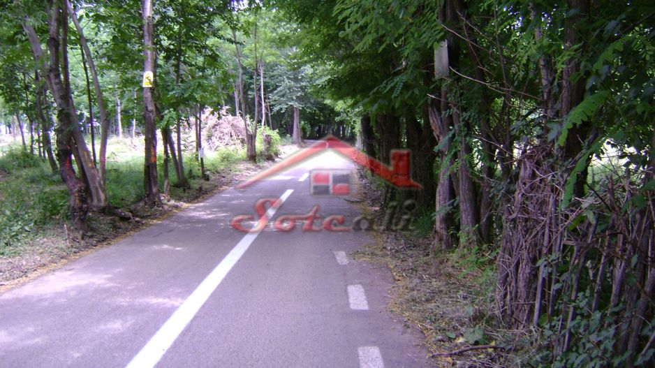 Teren de vanzare Cornu 3074 mp - Poză 11