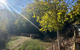Teren Intravilan | 412 mp | Telna, Comuna Ighiu - Poză 3