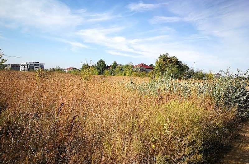 Teren ideal constructii Sisesti-langa Aletheea - Poză 3