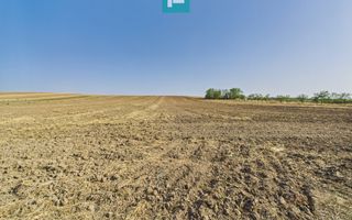 TEREN REMETEA MICĂ, JUDEȚUL TIMIȘ - Poză 6