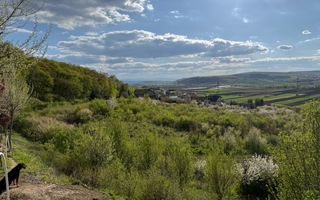 Teren intravilan – 1.450 mp | Jucu de Sus, marginea pădurii - Poză 5
