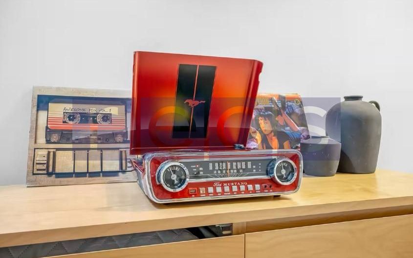 INCHIRIERE 3 CAMERE | VILA | STEFAN CEL MARE - Poză 13