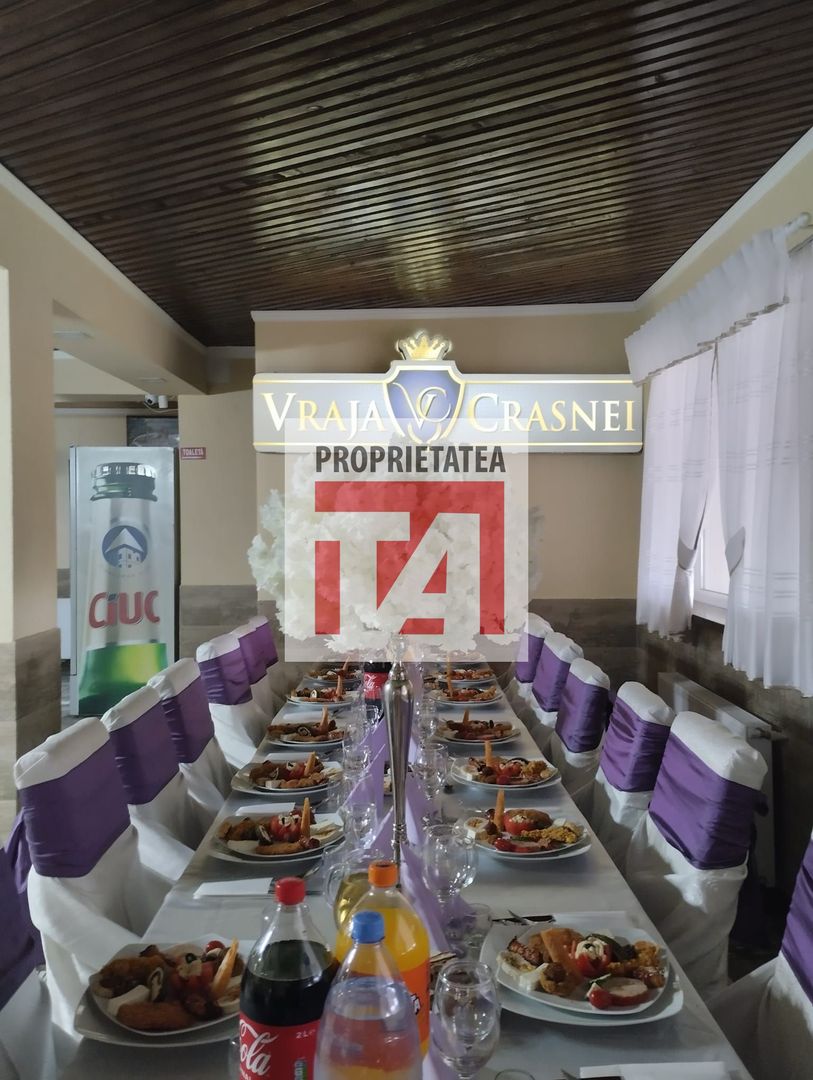 PENSIUNE DE VANZARE – VRAJA CRASNEI ÎN ZONA CAREI - Poză 4