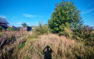 Teren intravilan | 25 ari | Front stradal 20 m | Rădăuți - Poză 5